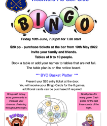 Bingo Night